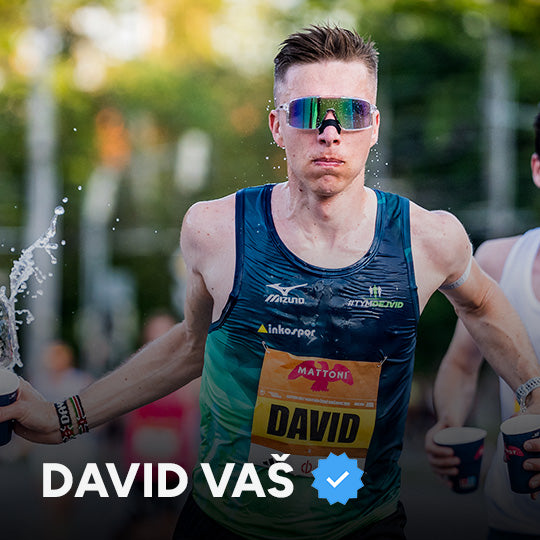 DAVID VÁŠ
